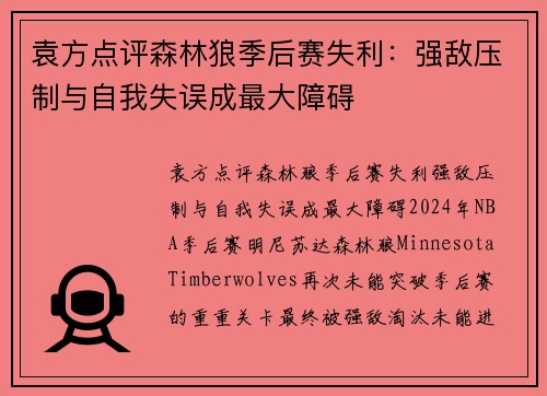 袁方点评森林狼季后赛失利：强敌压制与自我失误成最大障碍
